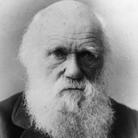 eBook di filosofia: C. Darwin, L'espressione dei sentimenti nell'uomo e negli animali